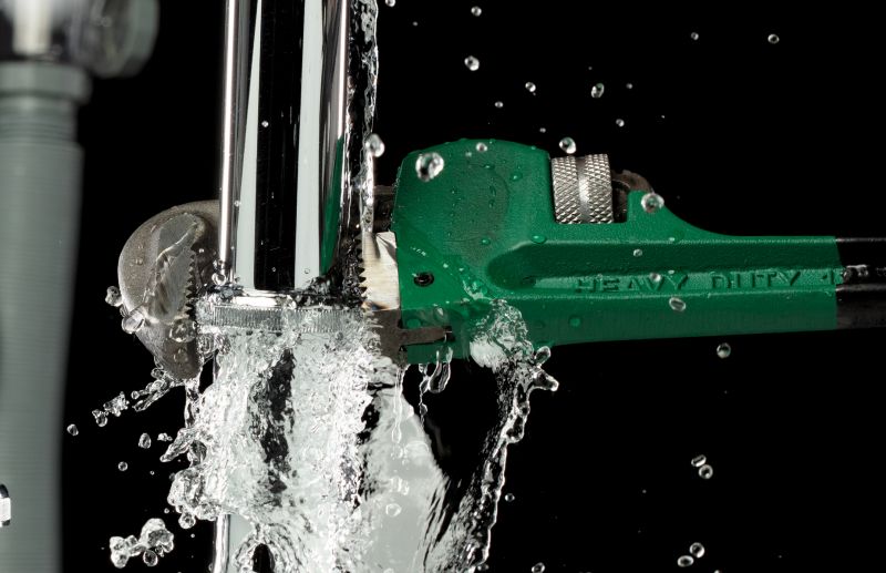 Plumber Diagnosing a Leak