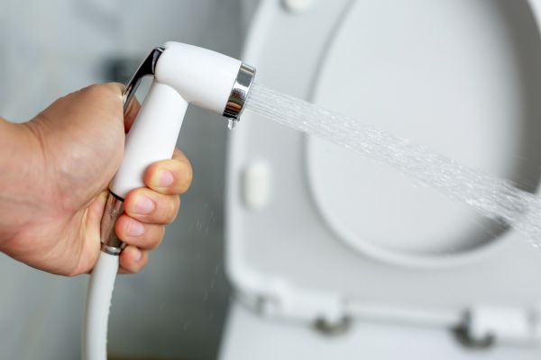 Cost of Bidet Installation in Bel Air