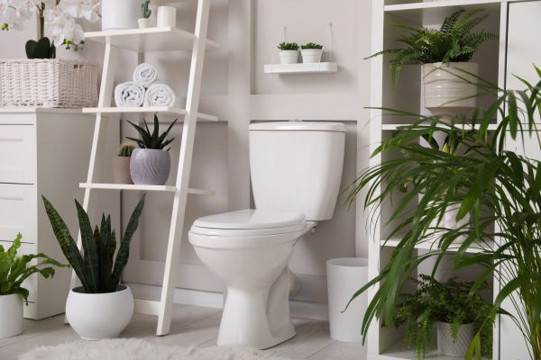 Cost of Toilet Repair in Bel Air