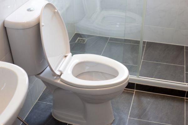Cost of Toilet Replacement in Bel Air