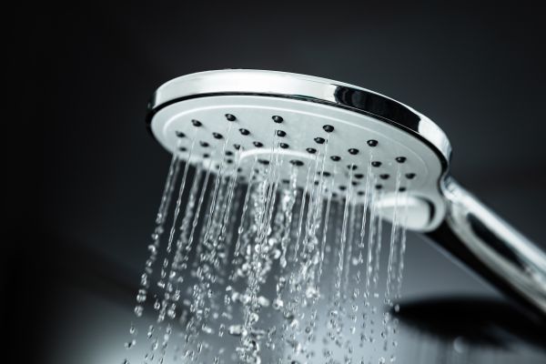 Cost of Shower Head Replacement in Bel Air