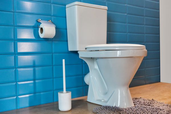Cost of Toilet Tank Repair in Bel Air