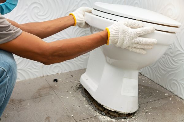 Cost of Toilet Removal in Bel Air