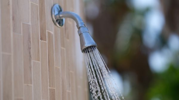 Cost of Showerhead Repair in Bel Air