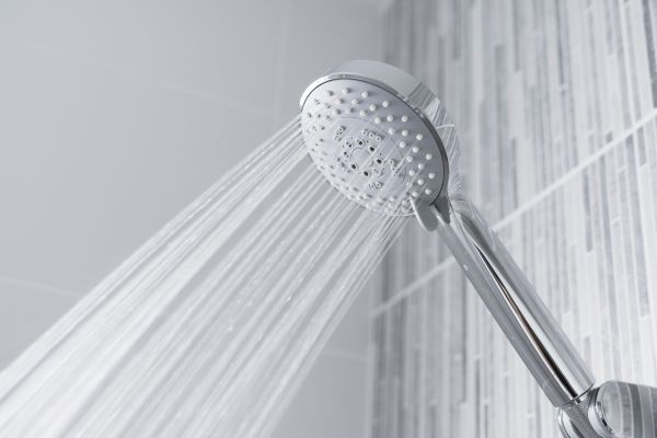 Cost of Showerhead Replacement in Bel Air
