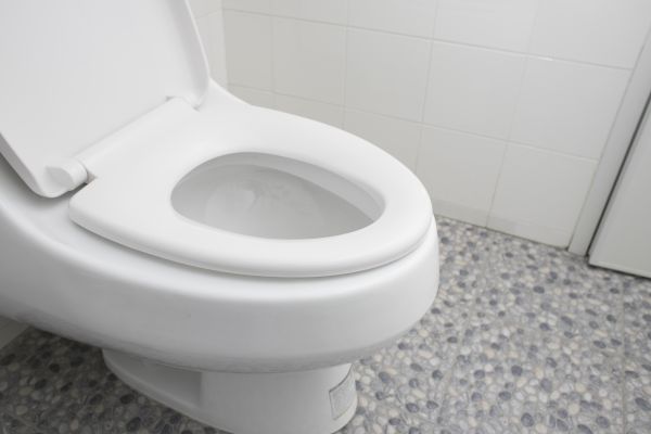 Cost of New Toilet Installation in Bel Air