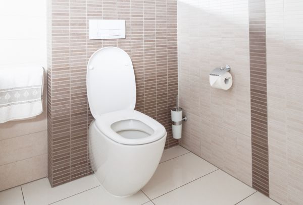 Cost of Toilet Plumbing Installation in Bel Air